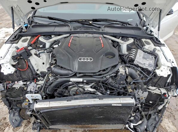 WAUP4AF56RA038736 2024 AUDI S5 Белый Вид задней части салона