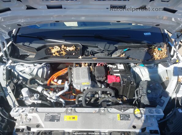 WB523CF09RCR60501 2024 BMW IX White Vista trasera