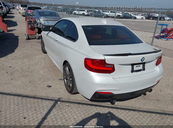 WBA1J7C50GV359067 2016 BMW M2 White Trasero izquierdo