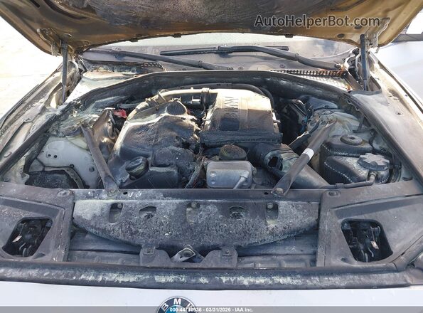 WBA5B3C59GG260162 2016 BMW 5 SERIES Белый Вид сзади
