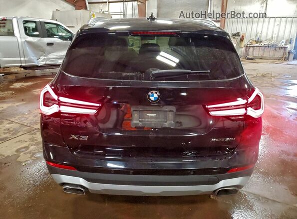 WBX57DP06PN189087 2023 BMW X3 Black Вид ззаду