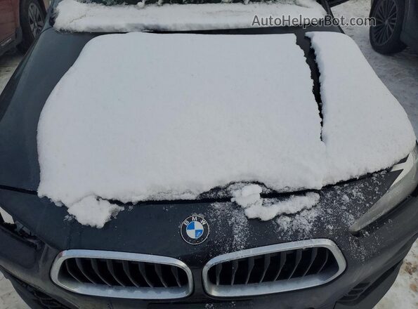 WBXYJ5C58K5N79591 2019 BMW X2 Black Vista del compartimento del motor