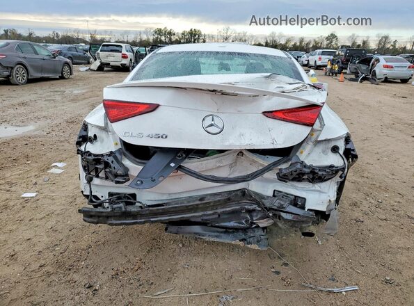 WDD2J5JB0LA051070 2020 MERCEDES-BENZ CLS-CLASS Белый Вид сзади