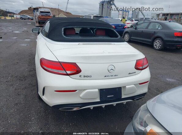 WDDWK4KB9HF430313 2017 MERCEDES-BENZ C-CLASS Белый 