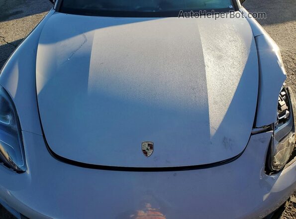 WP0AA2A79KL100463 2019 PORSCHE PANAMERA Бежевый Вид задней части салона