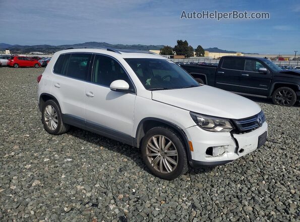 WVGAV7AX7GW613214 2016 VOLKSWAGEN TIGUAN Белый Передняя правая четверть