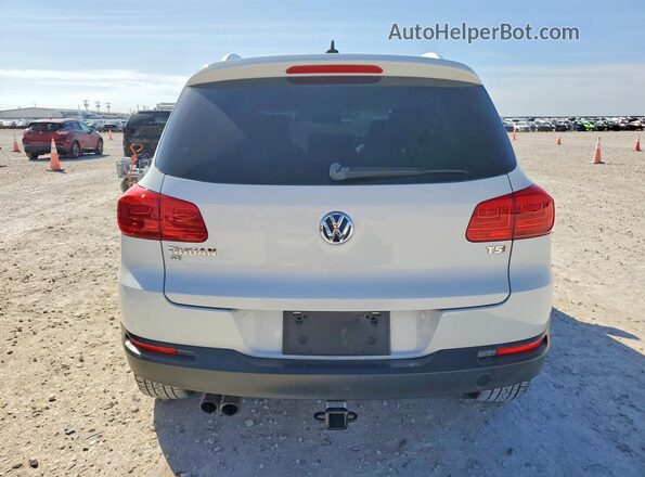 WVGAV7AX8GW506480 2016 VOLKSWAGEN TIGUAN Белый Вид сзади