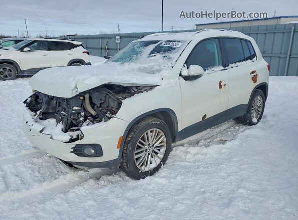WVGJV7AX5GW592766 2016 VOLKSWAGEN TIGUAN Белый Передняя левая четверть