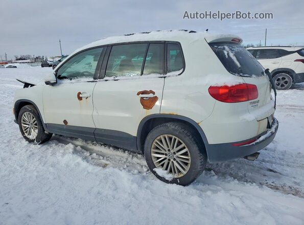 WVGJV7AX5GW592766 2016 VOLKSWAGEN TIGUAN Белый Задняя левая четверть