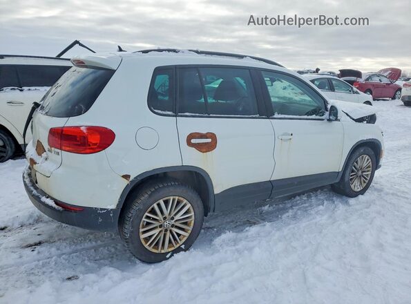 WVGJV7AX5GW592766 2016 VOLKSWAGEN TIGUAN Белый Задняя правая четверть