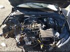 2024 Volkswagen Golf Gti 2.0t S Черный vin: WVWGA7CD8RW219334