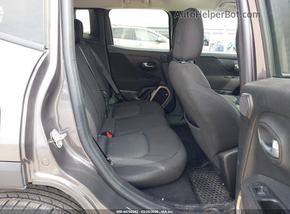 ZACCJBBB8HPF16732 2017 JEEP RENEGADE Серый Вид наклейки с VIN-кодом