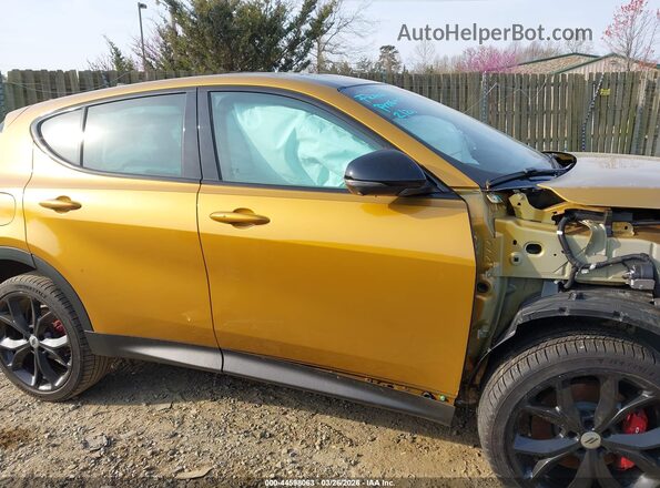 ZACNDFAN8R3A40669 2024 DODGE OTHER Желтый Панорамный вид салона 360°
