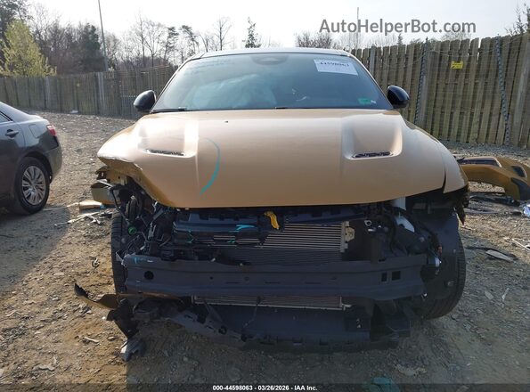 ZACNDFAN8R3A40669 2024 DODGE OTHER Желтый Вид задней части салона