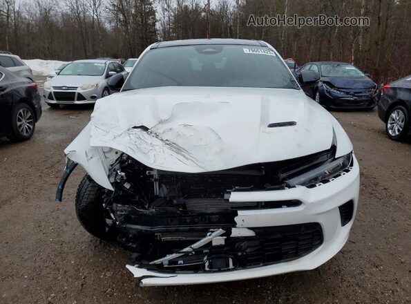 ZACNDFBN9P3A06431 2023 DODGE OTHER Белый Вид спереди
