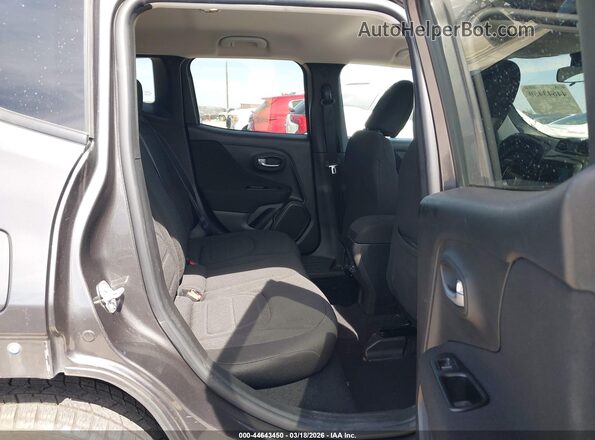 ZACNJABB1LPL71851 2020 JEEP RENEGADE Gray Vista de la etiqueta del VIN