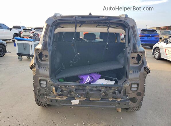 ZACNJABBXKPJ73574 2019 JEEP RENEGADE Charcoal Widok z tyłu