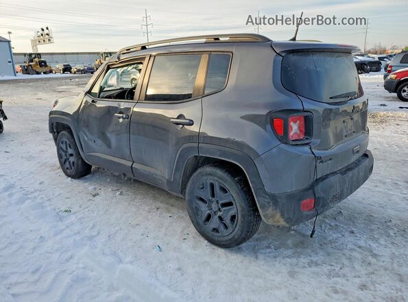 ZACNJBABXLPL39181 2020 JEEP RENEGADE Charcoal Հետևի ձախ