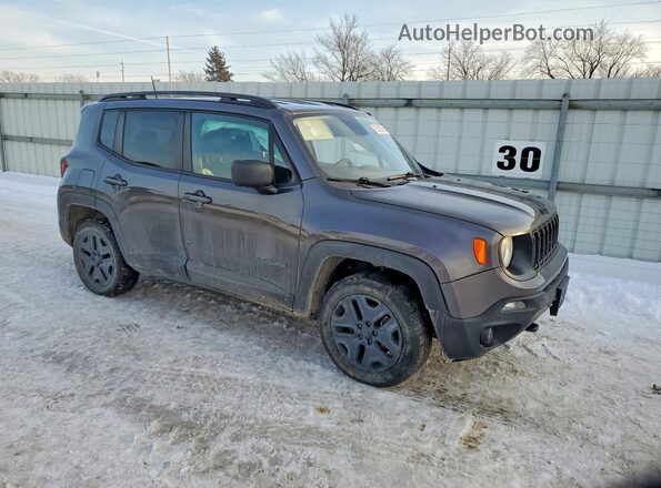 ZACNJBABXLPL39181 2020 JEEP RENEGADE Charcoal Առջևի աջ