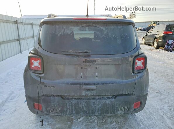 ZACNJBABXLPL39181 2020 JEEP RENEGADE Charcoal Հետևի տեսք