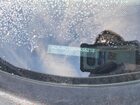 2019 Jeep Renegade Trailhawk White vin: ZACNJBC1XKPK55218 2019 Jeep Renegade Trailhawk White vin: ZACNJBC1XKPK55218