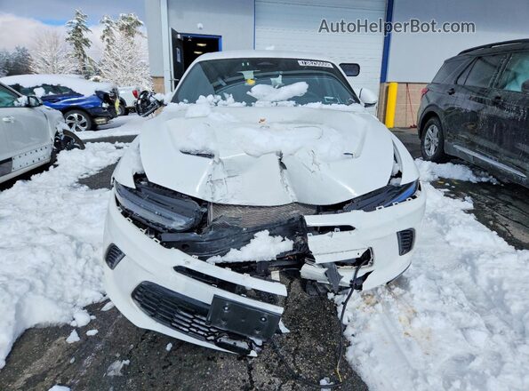 ZACPDFCWXR3A32751 2024 DODGE OTHER Белый Вид спереди