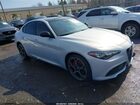 ZARFANAN4S7689426
