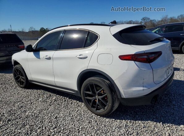 ZASPAJAN0N7D24826 2022 ALFA ROMEO STELVIO Белый Задняя левая четверть