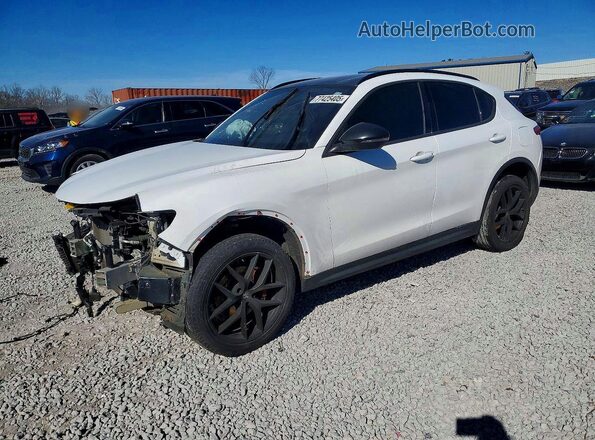 ZASPAJAN0N7D24826 2022 ALFA ROMEO STELVIO Белый Передняя левая четверть
