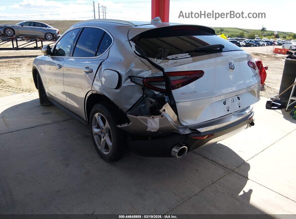 ZASPAJAN6L7C92168 2020 ALFA ROMEO STELVIO Серый Задняя левая четверть