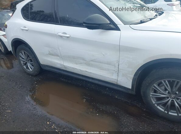ZASPAKAN4R7D71109 2024 ALFA ROMEO STELVIO Белый Вид спереди