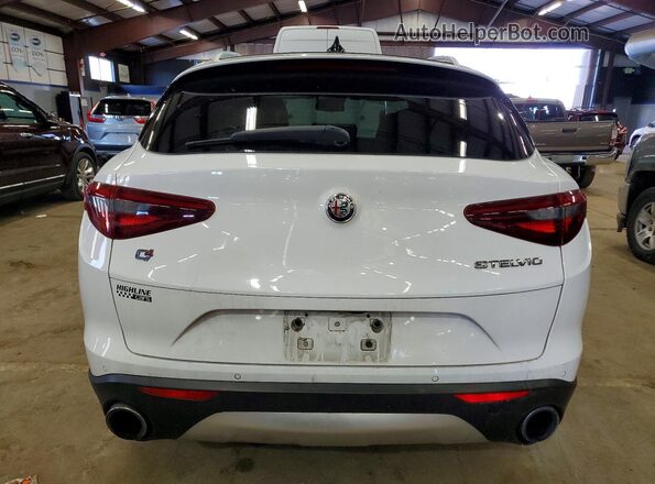 ZASPAKAN8K7C51156 2019 ALFA ROMEO STELVIO White Widok z tyłu