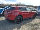 2019 Alfa Romeo Stelvio Red vin: ZASPAKANXK7C31930 2019 Alfa Romeo Stelvio Red vin: ZASPAKANXK7C31930