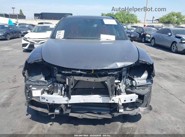 ZASPAKBN0R7D80310 2024 ALFA ROMEO STELVIO Серый Вид задней части салона