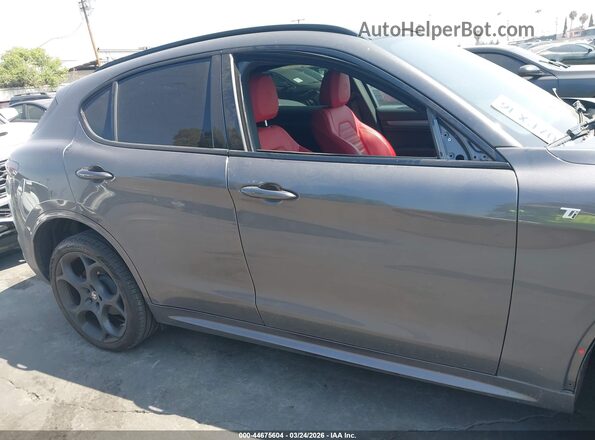 ZASPAKBN0R7D80310 2024 ALFA ROMEO STELVIO Серый Панорамный вид салона 360°