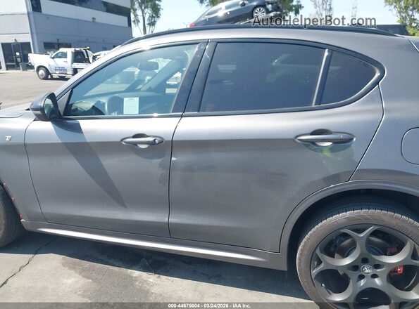 ZASPAKBN0R7D80310 2024 ALFA ROMEO STELVIO Серый 
