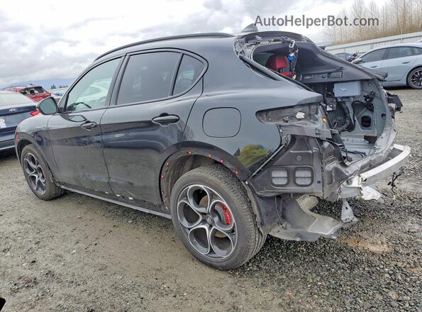 ZASPAKBN1R7D70532 2024 ALFA ROMEO STELVIO Black Tył lewy