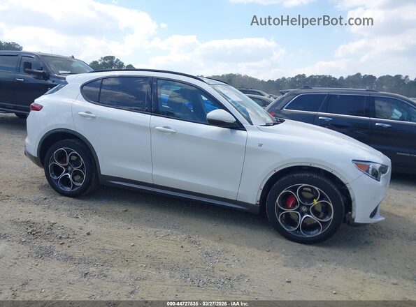 ZASPAKBN2P7D59164 2023 ALFA ROMEO STELVIO White Rear interior view