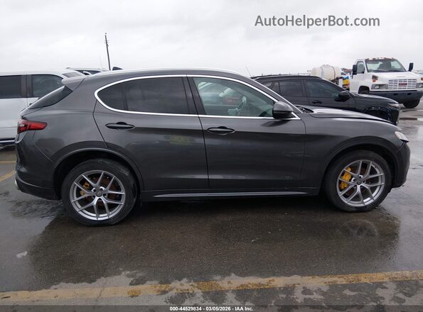 ZASPAKBN4M7D18739 2021 ALFA ROMEO STELVIO Gray Widok wnętrza z tyłu