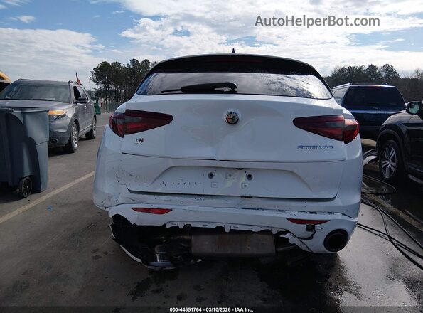 ZASPAKBN5L7C89590 2020 ALFA ROMEO STELVIO White წინა ხედი