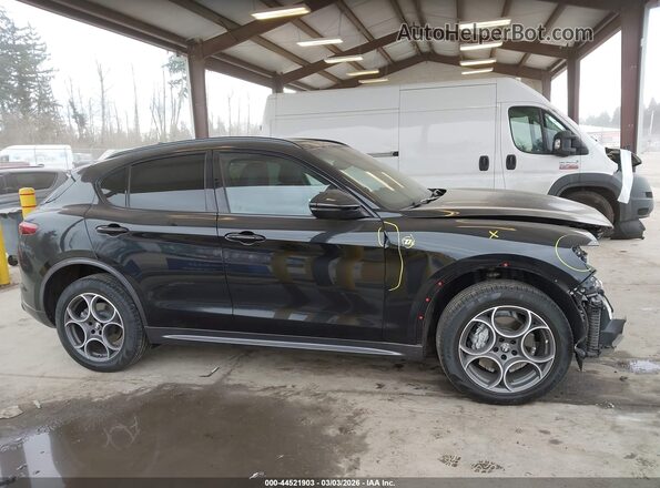 ZASPAKBN6P7D63797 2023 ALFA ROMEO STELVIO Black Widok wnętrza z tyłu