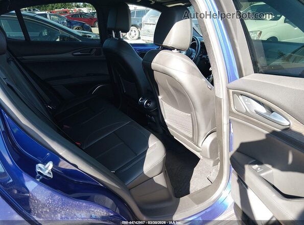 ZASPAKBN7N7D26982 2022 ALFA ROMEO STELVIO Синий Вид наклейки с VIN-кодом