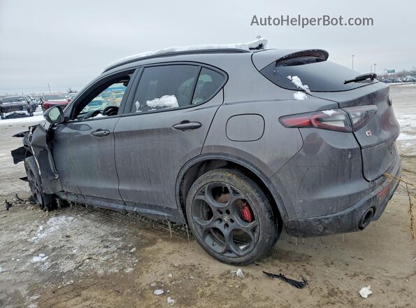 ZASPAKBN7R7D82796 2024 ALFA ROMEO STELVIO Gray Trasero izquierdo