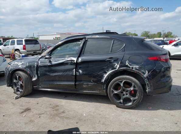 ZASPAKBN8P7D64773 2023 ALFA ROMEO STELVIO Black Widok wnętrza z tyłu