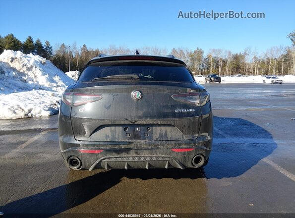 ZASPAKBN8R7D76747 2024 ALFA ROMEO STELVIO Черный 