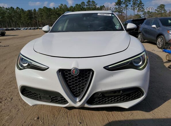 ZASPAKBNXK7C41582 2019 ALFA ROMEO STELVIO Белый Вид спереди