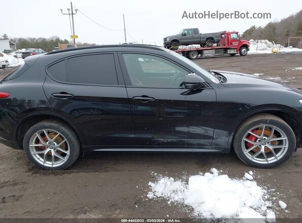 ZASPAKBNXL7C74390 2020 ALFA ROMEO STELVIO Черный Вид задней части салона