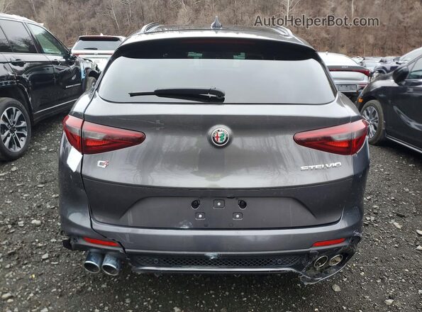 ZASPAKEV8P7D67930 2023 ALFA ROMEO STELVIO Gray Widok z tyłu