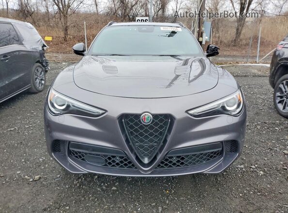 ZASPAKEV8P7D67930 2023 ALFA ROMEO STELVIO Gray Widok z przodu