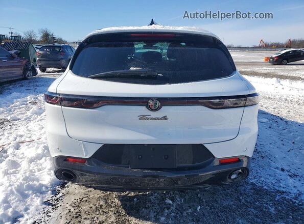 ZASPATDW9R3052366 2024 ALFA ROMEO OTHER Белый Вид сзади